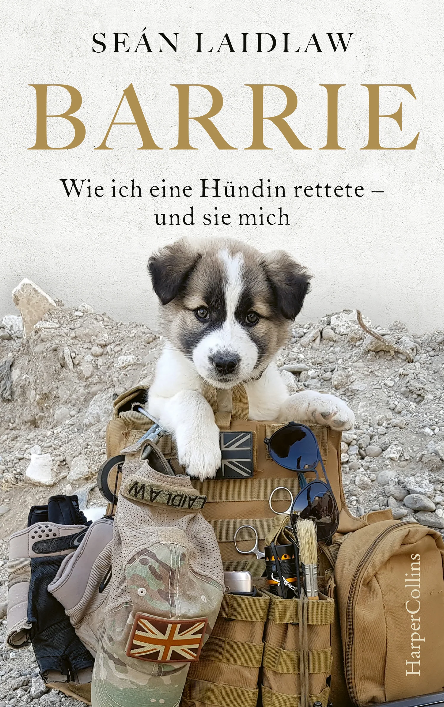 Vorschaubild 1