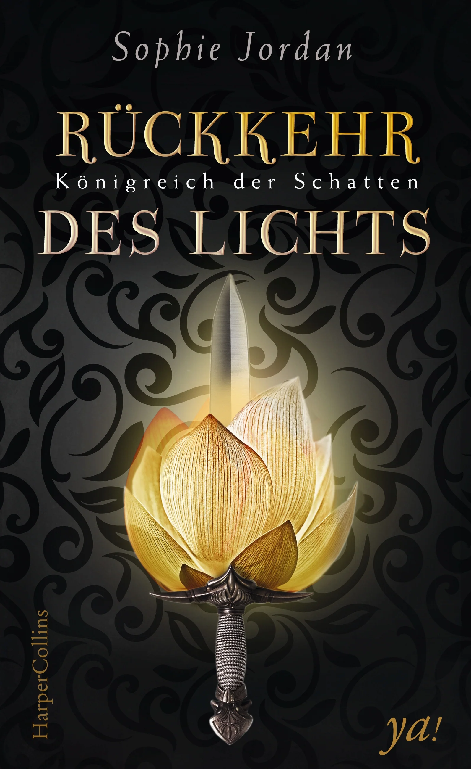Vorschaubild 1