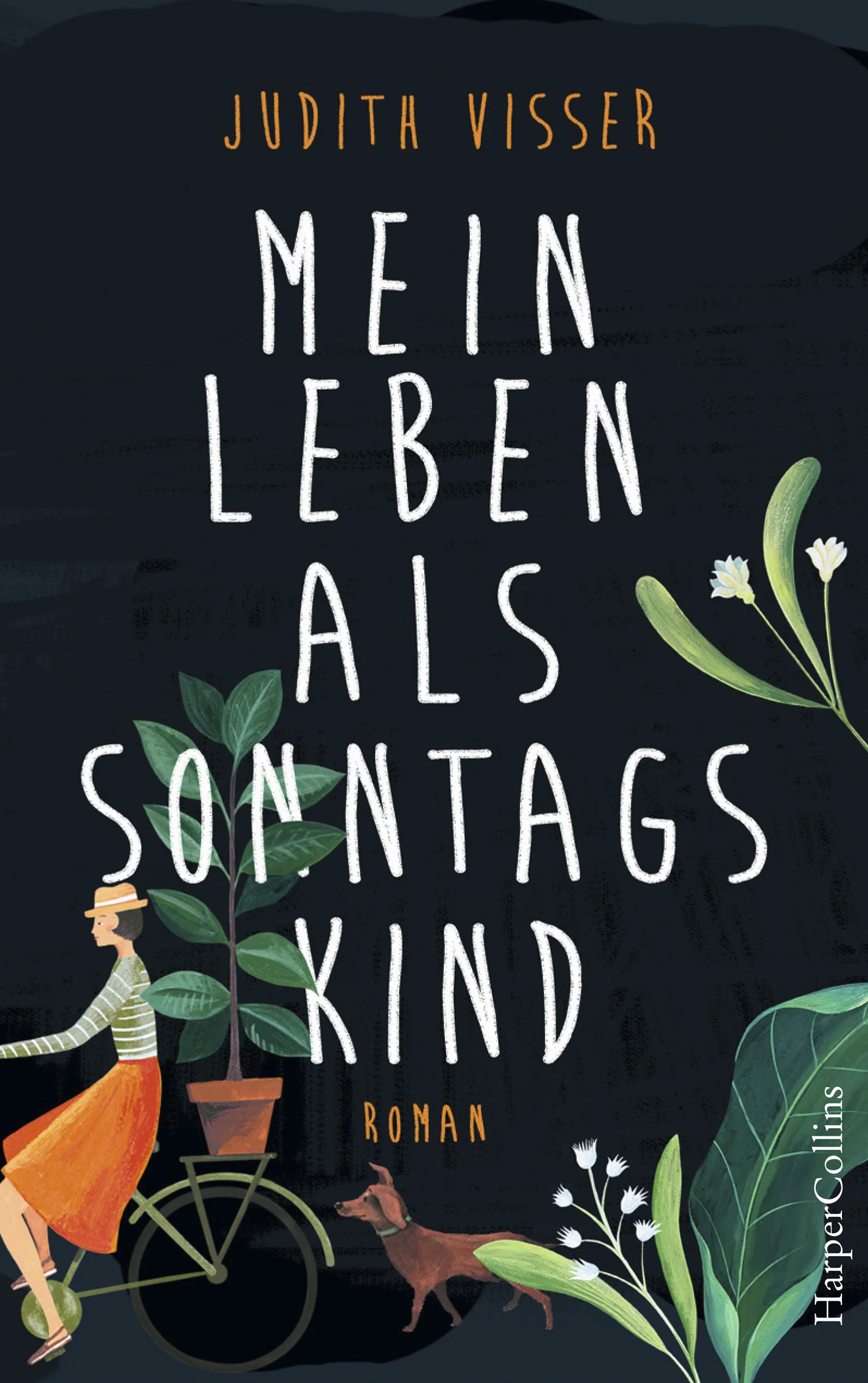 Vorschaubild 1
