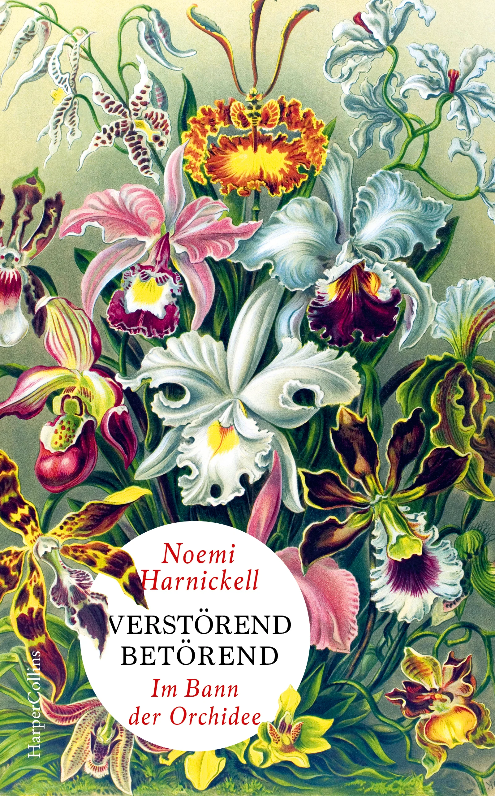 Vorschaubild 1